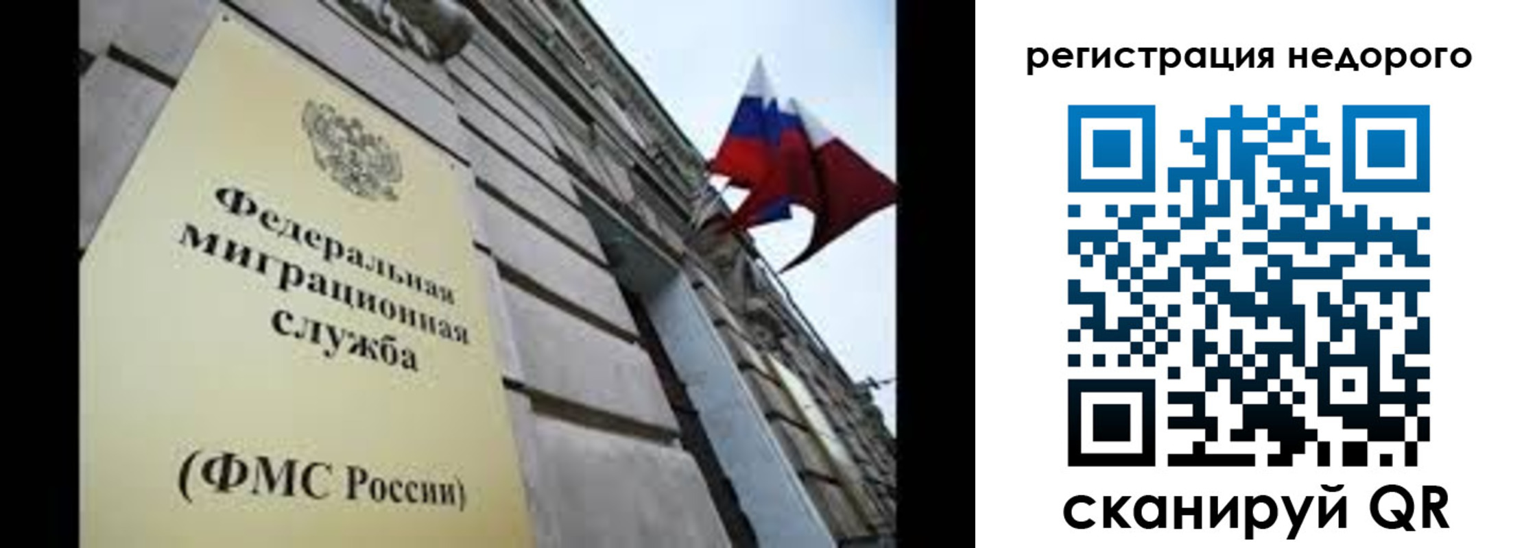 прописка поиск в Зиме